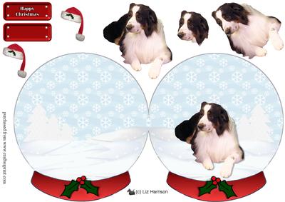 Australian Shepherd Christmas Snow Globe