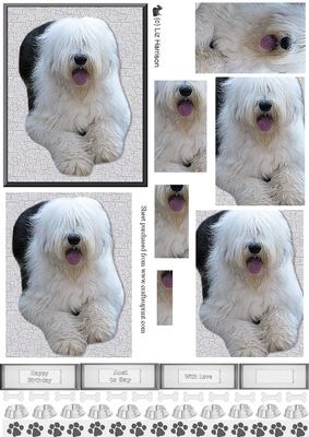 Old English Sheepdog Laid Pyramid