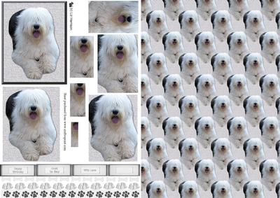 Old English Sheepdog Laid Pyramid & Background