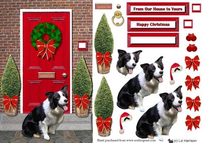 Border Collie on a Christmas Door Step