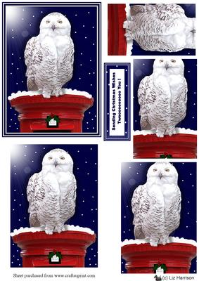 Snowy Owl Christmas Post Box Scene Pyramid