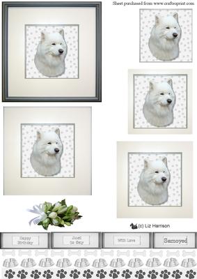 Samoyed Portrait Pyramid