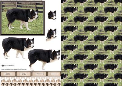 Border Collie Scene 3D Decoupage & Background