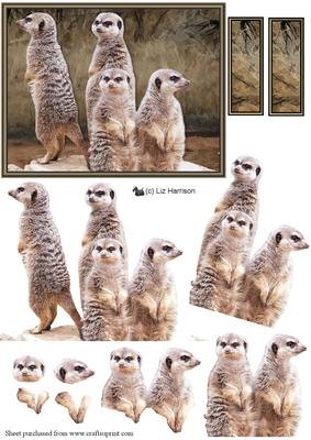 Meerkats Scene 3D Decoupage