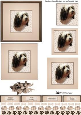 Tibetan Terrier Portrait Pyramid