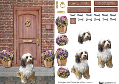 Tibetan Terrier Door Step Scene