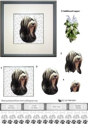 Tibetan Terrier ,black & White Portrait 3D Decoupage