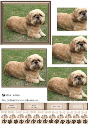 Shih Tzu Scene Pyramid