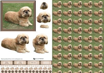 Shih Tzu Scene 3D Decoupage & Background