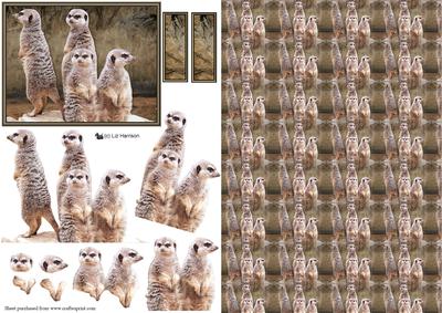 Meerkats Scene 3D Decoupage & Background