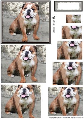 Bulldog Scene Pyramid