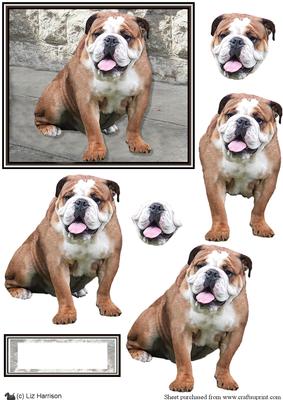 Bulldog Scene 3D Decoupage