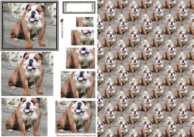 Bulldog Scene Pyramid & Background