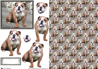 Bulldog Scene 3D Decoupage & Background