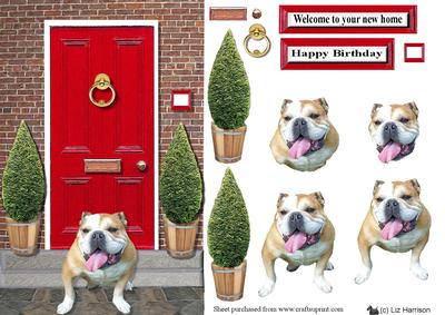 Happy Bulldog Witha Red Door