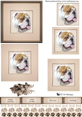 Bulldog Portrait 1 Pyramid