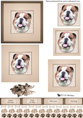 Bulldog Portrait 2 Pyramid