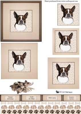 Boston Terrier Portrait Pyramid