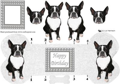 Boston Terrier Bone Shaped Card