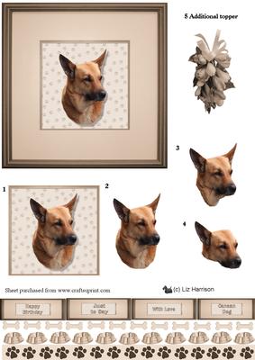 Canaan Dog Portrait 3D Decoupage