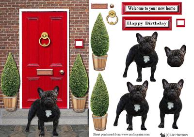 French Bulldog with a Red Door