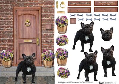 French Bulldog Door Step Scene