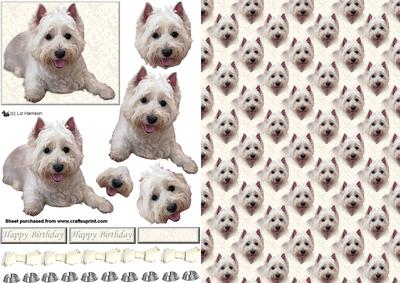 Westie Laid 3D Decoupage with Background