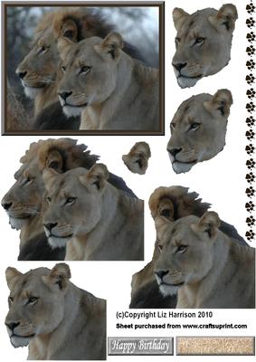 Lion & Lioness Portrait 3D Decoupage
