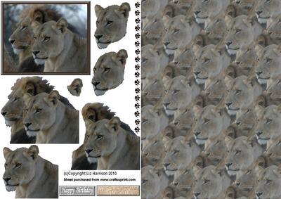 Lion & Lioness Portrait 3D Decoupage with Background