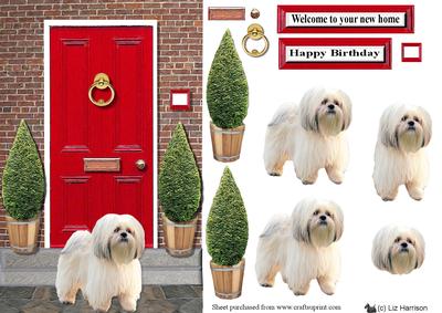Lhasa Apso with a Red Door