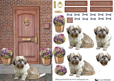 Shih Tzu Door Step Scene