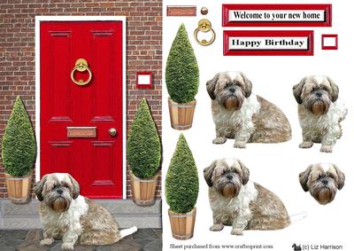 Shih Tzu with a Red Door