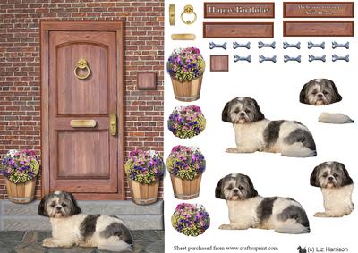 Shih Tzu Door Step Scene