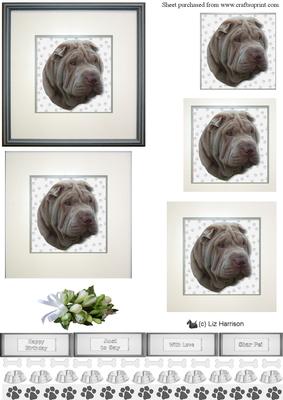Shar Pei,grey,portrait Pyramid