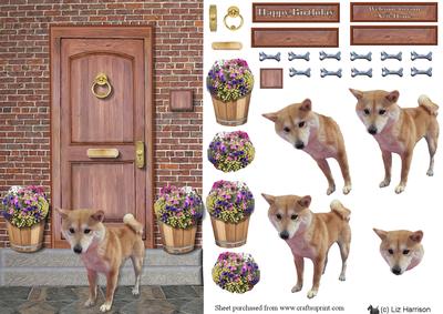 Shiba Inu Door Step Scene
