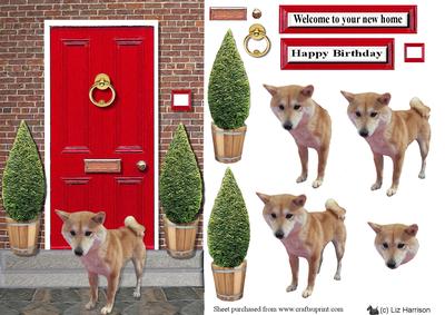 Shiba Inu with a Red Door