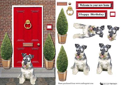 Miniature Schnauzer with a Red Door