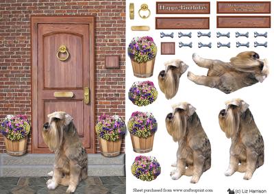Schnauzer Dog Door Step Scene