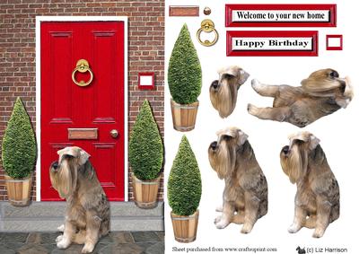 Schnauzer with a Red Door
