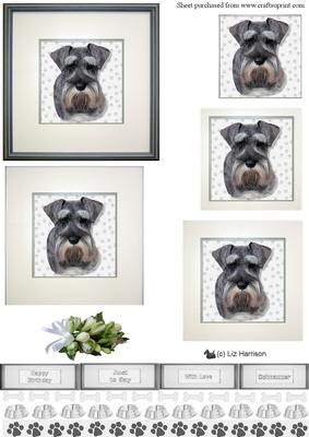 Miniature Schnauzer Portrait Pyramid