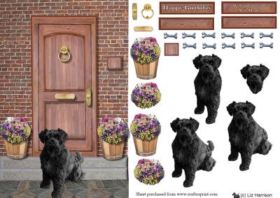Schnauzer ,black, Door Step Scene