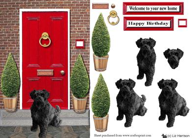 Schnauzer ,black, with a Red Door