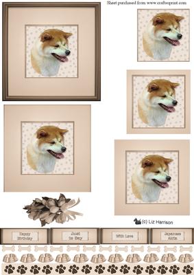 Japanese Akita Inu Portrait Pyramid