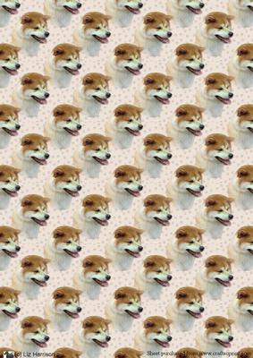Japanese Akita Inu Portrait Background