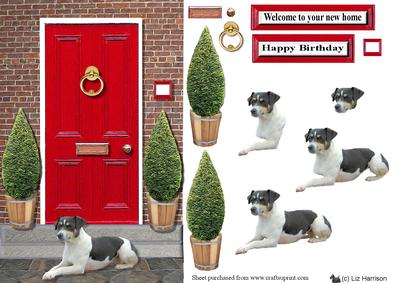 Jack Russell Terrier with a Red Door
