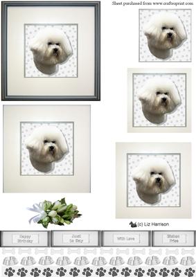 Bichon Frise Portrait Pyramid