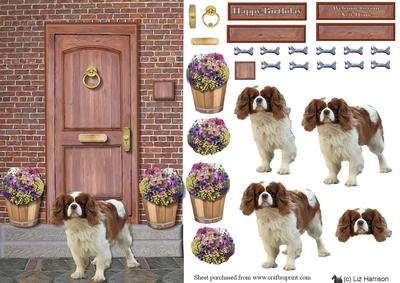 Cavalier King Charles Spaniel Door Step Scene