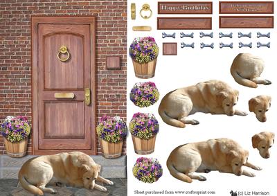 Golden Labrador Door Step Scene