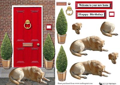 Golden Labrador with a Red Door