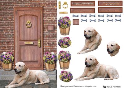 Golden Labrador Door Step Scene